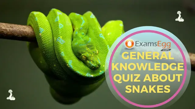 Video thumbnail for General Knowledge Quiz about Snakes