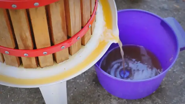 'Video thumbnail for Exploring the World of Apple Juice: From Production to Health Benefits'