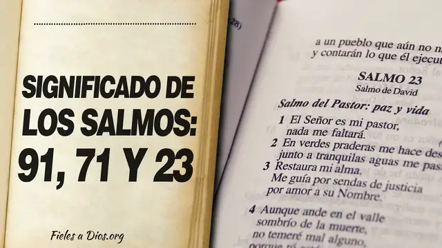 'Video thumbnail for 🙏 Salmo 91, Salmo 71 y Salmo 23, LOS MEJORES SALMOS PARA LA PROTECCIÓN 📖'