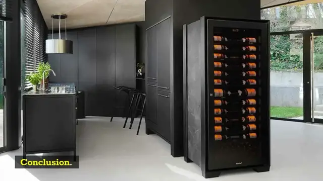 Video thumbnail for Whynter Wine and Beverage Cooler Review: 6 Important Things To Know!