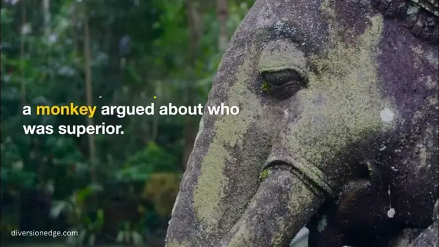 Video thumbnail for Elephant and Monkey - Learning to Respect Differences | Moral Story