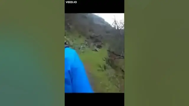 'Video thumbnail for Trailrunning 1000 Year Old Chestnuts Trail #shorts'
