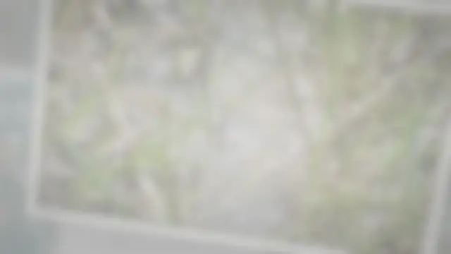 'Video thumbnail for How To Get Rid Of Spittlebugs (The Ultimate DIY Spittle Bug Control Guide)'