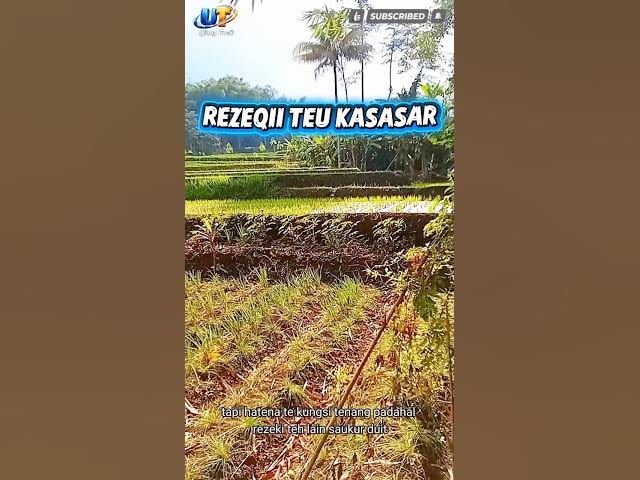 Video thumbnail for Rezeqi Henteu Kasasar#ujangtasik#pepelingsunda ##rezeqi #shorts