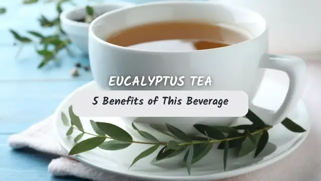 Video thumbnail for Eucalyptus Tea, Superb 5 Benefits of This Beverage