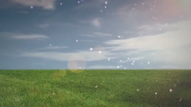 Video thumbnail for Why Do Cats Sleep with Their Eyes Open? The Fact Behind This Behavior!