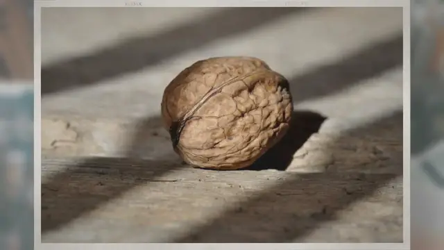 Video thumbnail for Where Do Walnuts Come From?