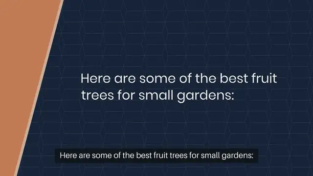 Video thumbnail for Best Fruit Trees For Small Gardens