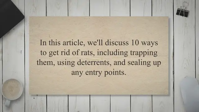 Video thumbnail for 10 Ways to Get Rid of Rats: A Complete Guide