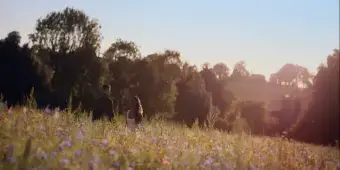 'Video thumbnail for Video: Danielle Fiamanya and Louis Gaunt Sing From BRIGADOON'
