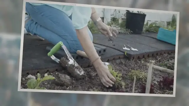 'Video thumbnail for My Proven Succulent Care Method to Have Thriving Succulents'
