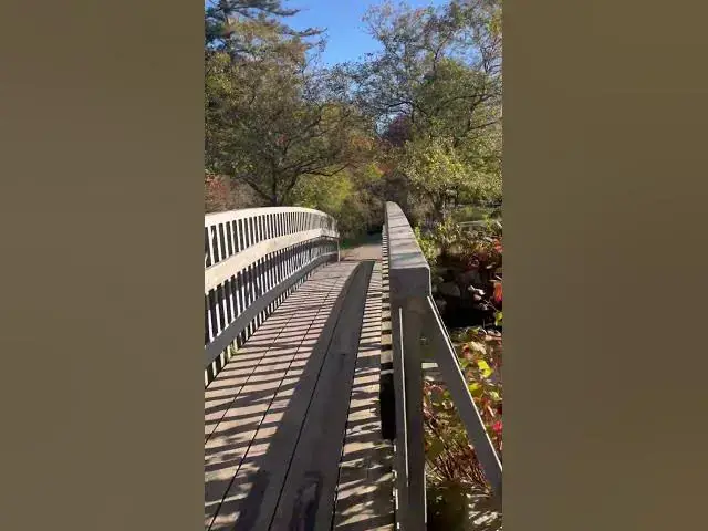 Video thumbnail for #fallinCanada#togodbethegloryalways