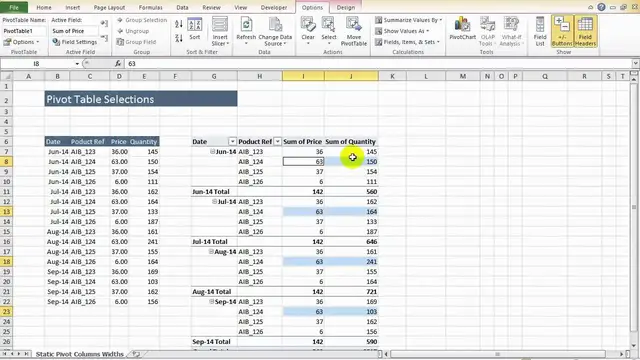 Video thumbnail for Excel Tip -Select Pivot Table Options