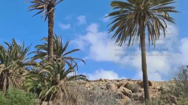 Video thumbnail for De mooiste wandeling van Fuerteventura