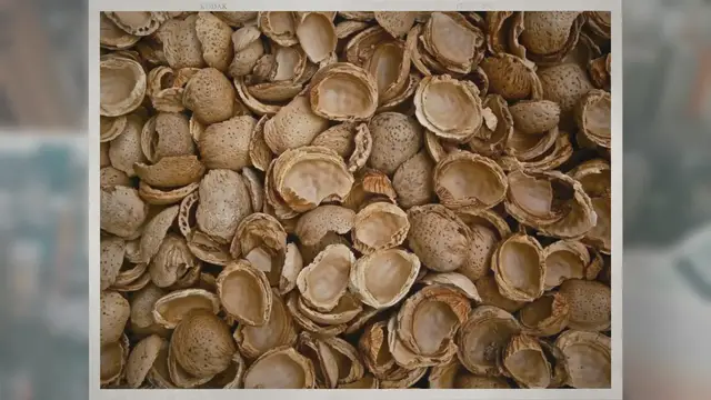 Video thumbnail for What Are Jordan Almonds?