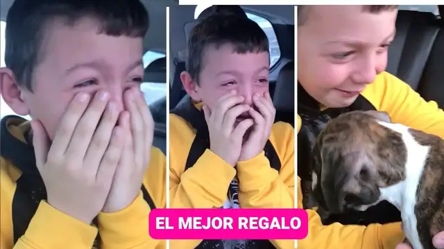 'Video thumbnail for Cachorro de regalo en Navidad conmueve a las lágrimas a un niño ??'