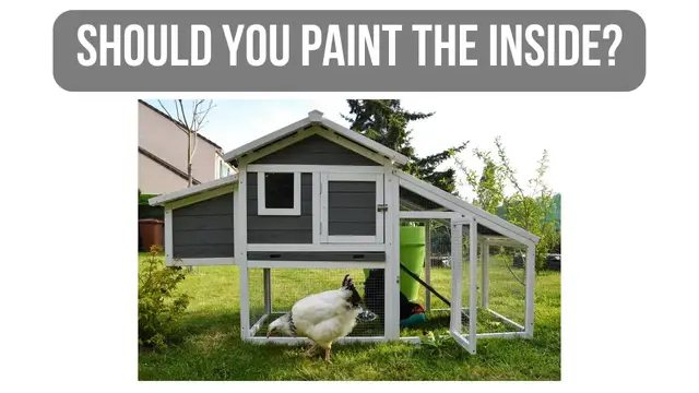 Video thumbnail for Pros and Cons of Painting the Inside of the Chicken Coop