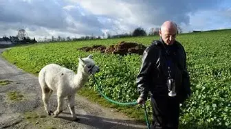 Video thumbnail for Mit Alpakas wandern im Neanderland