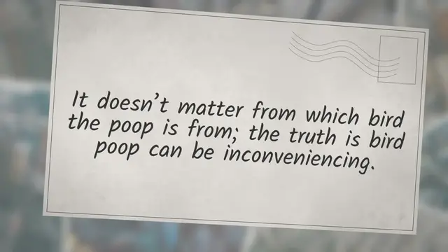 Video thumbnail for How To Stop Birds From Pooping On Your Car When Parked: A Full Guide