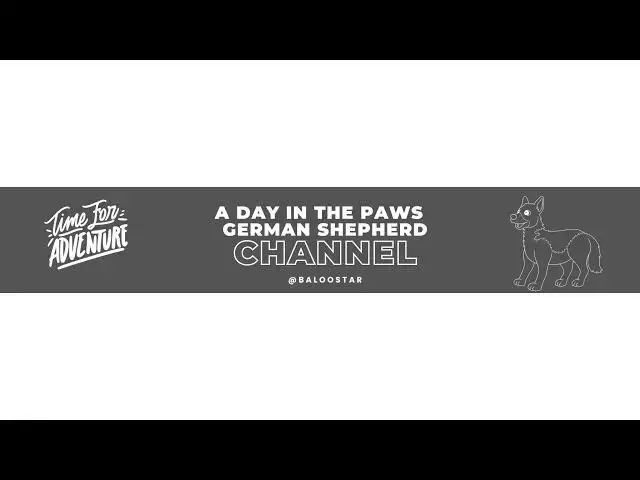 Video thumbnail for A Day in the Paws  German Shepherd