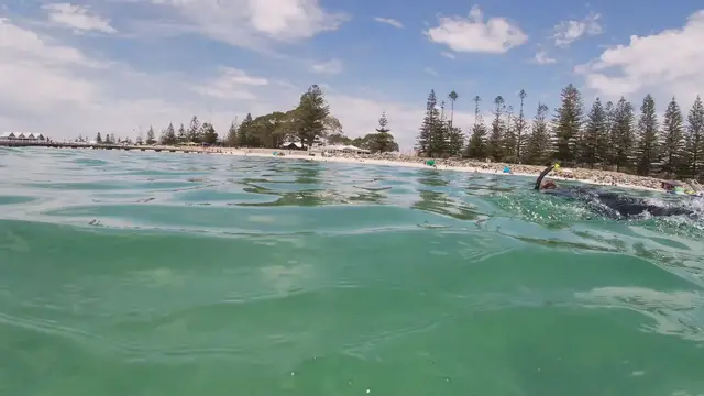 Video thumbnail for Free diving for Blue Manna Crabs in Busselton, WA
