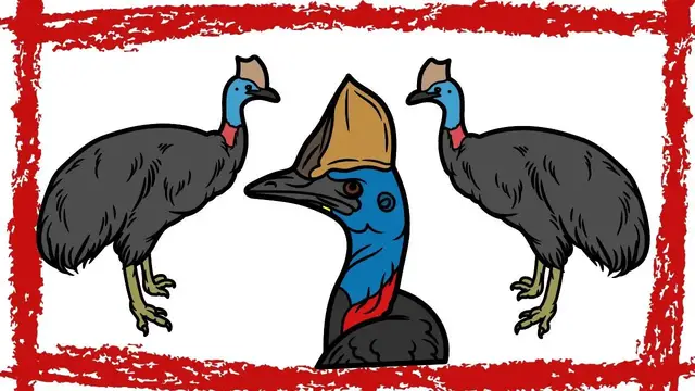 Video thumbnail for Southern Cassowary Sound | Southern Cassowary Call |  Deep Growls & Rumbles of Southern Cassowary