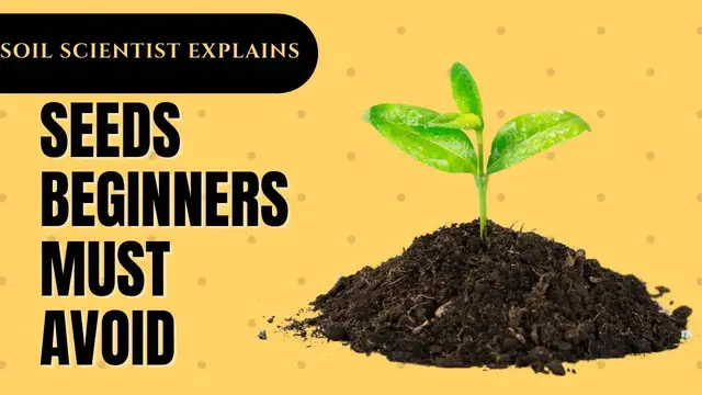 Video thumbnail for Plants That Should Not Be Grown In Cold Climates By Beginners. Gardening in Canada