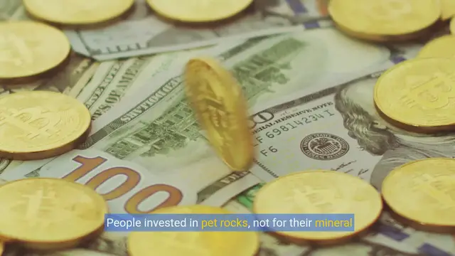 Video thumbnail for Rock Solid Coverage: Insuring Your Pet Rock Against Rolling Away!