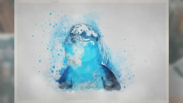 Video thumbnail for Do Dolphins Mate for Life?