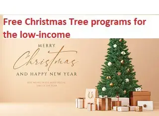 'Video thumbnail for How to Get a Free Christmas Tree for Low Income Families'