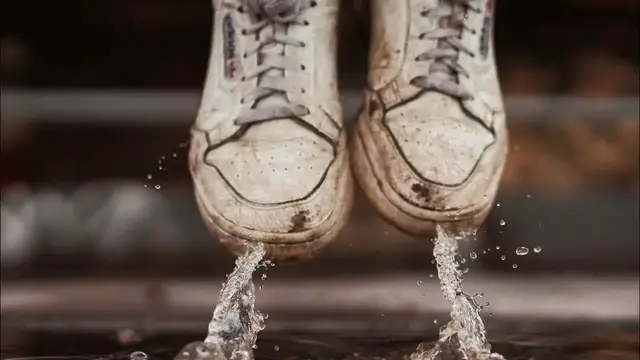 Video thumbnail for Effects of Water Pollution