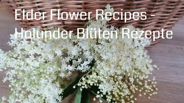 Video thumbnail for Elder Flower Recipes