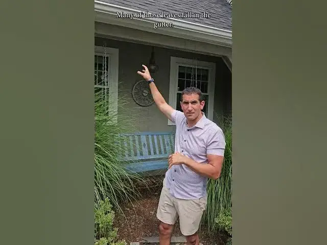 Video thumbnail for Wet Basement Underground Drainage