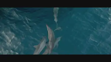 'Video thumbnail for Romantic Bali Honeymoon Guide'