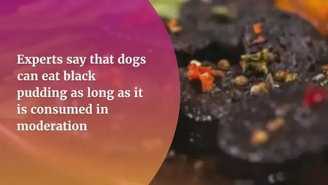 'Video thumbnail for Can dogs eat black pudding?'