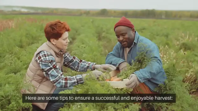 Video thumbnail for Tips for Harvesting Vegetables from Containers