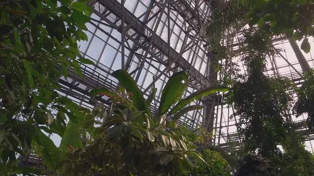 Video thumbnail for How Botanical Gardens Contribute To Urban Greening