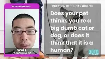 Video thumbnail for Wei's dog thinks it's as smart as a person. Or at least, it wants to be!