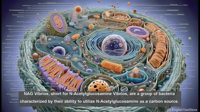 Video thumbnail for NAG vibrios in biology