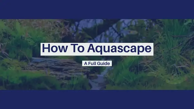 'Video thumbnail for How To Aquascape'