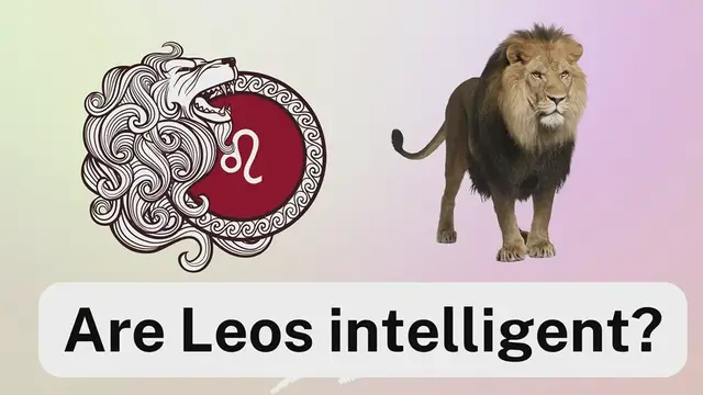 Video thumbnail for Are Leos intelligent-smart-video