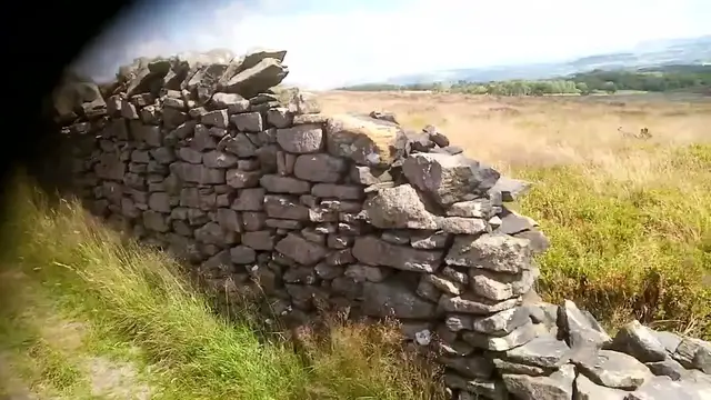 Video thumbnail for Using a dry stone wall to teach the 'get over' command