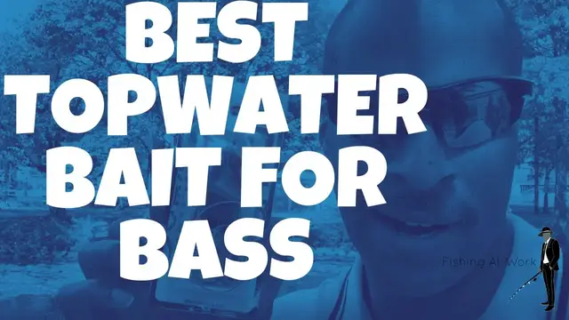 Video thumbnail for Best Top Water Bait For Bass - Summer Topwater Fishing Lures - What To Use On The Top Of The Water!