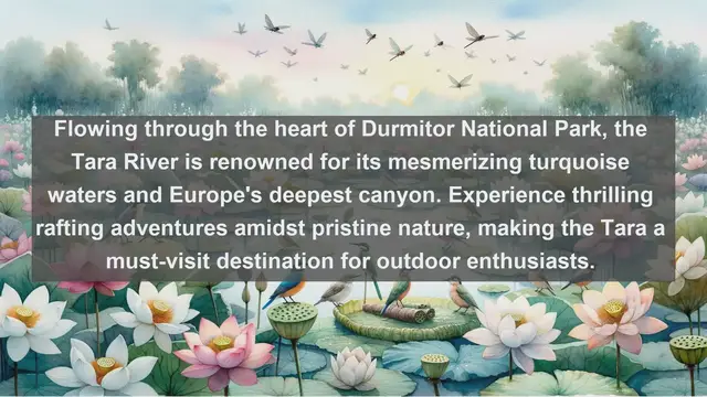 Video thumbnail for Discover Montenegro's Natural Treasures: Top 10 Famous Rivers