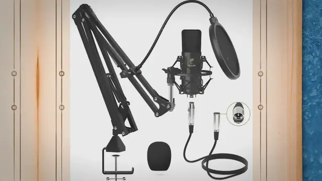 Video thumbnail for Best Condenser Mic 2022: Reviews + Buying Guide