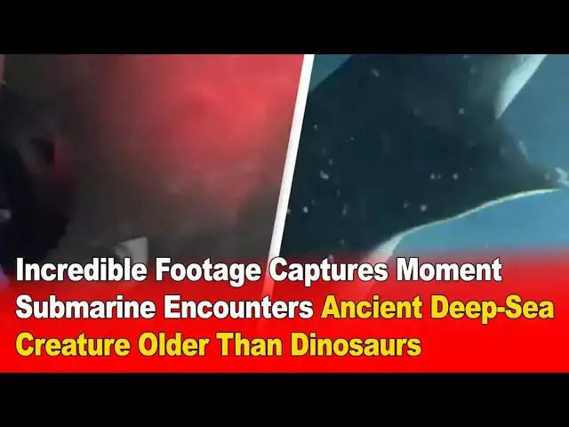 Video thumbnail for Incredible Footage Captures Submarine Encounter with Ancient Creature Older Than Dinosaurs 🌊🦑