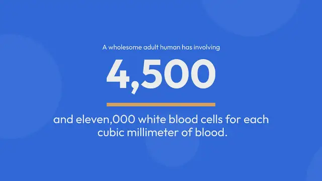 Video thumbnail for 5 Simple Statements About Bulls vs rockets Explained