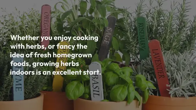 Video thumbnail for Top 10 Tips for Growing Herbs Indoors