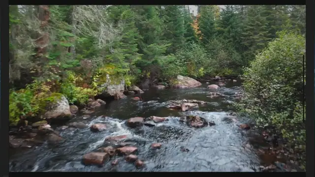 Video thumbnail for The Beginner's Guide to Fly Fishing