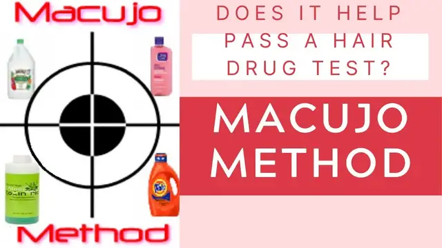 'Video thumbnail for Macujo Method: Does It Help Pass a Hair Drug Test? Updated 2022!!'